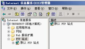 使用专用IP进行FTP服务器搭建