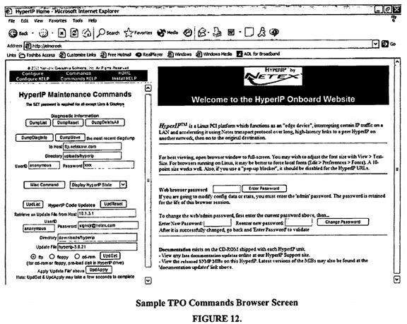 Internet protocol optimizer