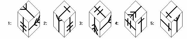 Greater New York 2007 Spatial Concepts Test