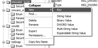 Install VMware Workstation as a Service