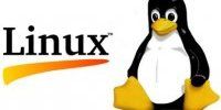 article_buygreen-linux-penguin.jpg