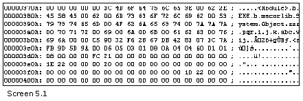 《Metadata Tables》第5章 The Blob Stream