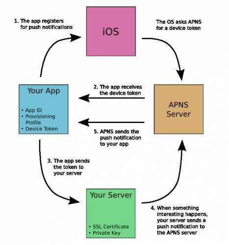 iOS开发如何实现消息推送机制