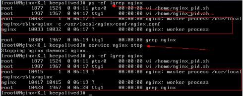 Nginx+Keepalived主备切换（包含nginx服务停止）