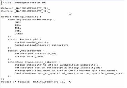 The generated IDL file