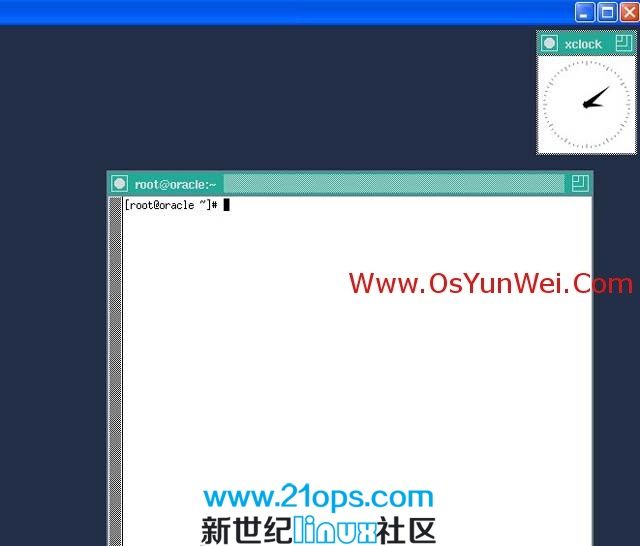 centos安装oracle 11g 完全图解的照片 - 13