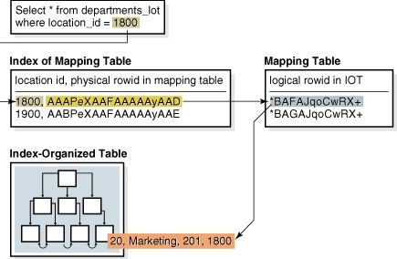 Heap-Organized table 和 Index-Organized table 说明