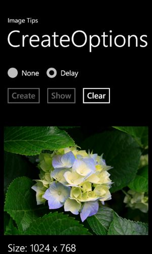 Image Tips for Windows Phone 7