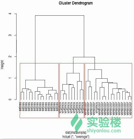 [译]用R语言做挖掘数据《五》