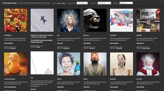 foliogrid 21 Free Premium Wordpress Themes to Impress