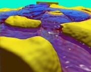 水体渲染与仿真（Water Rendering and Simulation）