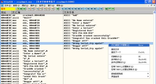 软件破解入门(暴力破解CrackMe)