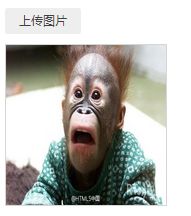 singleImageUploader