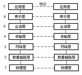 计算机网络体系结构