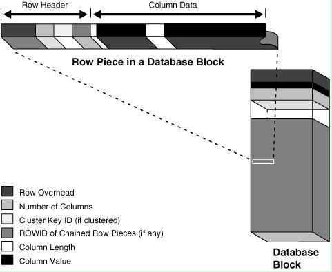 Oracle 数据块 Block 说明