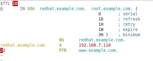 《DNS的正向反向解析》RHEL6