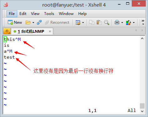 windows和linux换行规则的区别