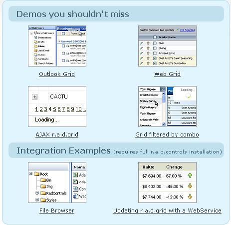 功能强大的radcontrols for Asp.net