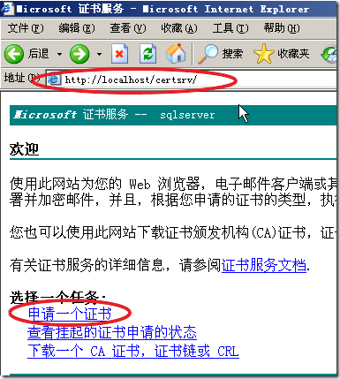 图像 4
