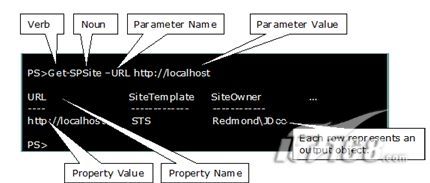 SharePoint 2010可以为IT专业人员带来什么样的好处