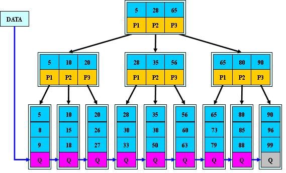 B树、B-树、B+树、B*树详解