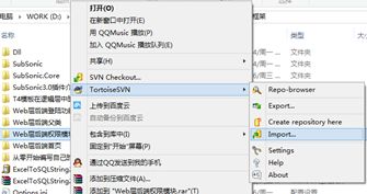 VisualSVN SERVER的安装和使用