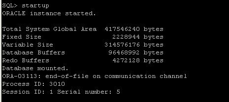 ORA-03113 ： end-of-file on communication channel