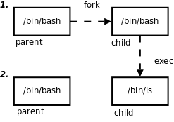 Linux编程基础——进程概述