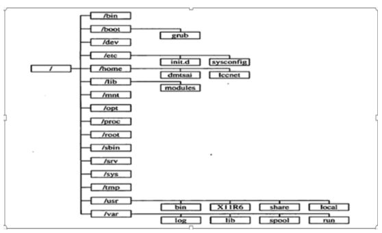 Linux目录