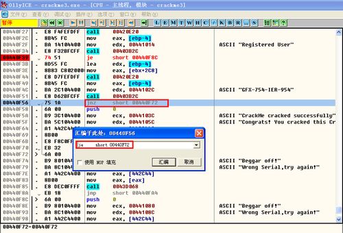 软件破解入门(暴力破解CrackMe)