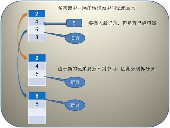 索引学习笔记