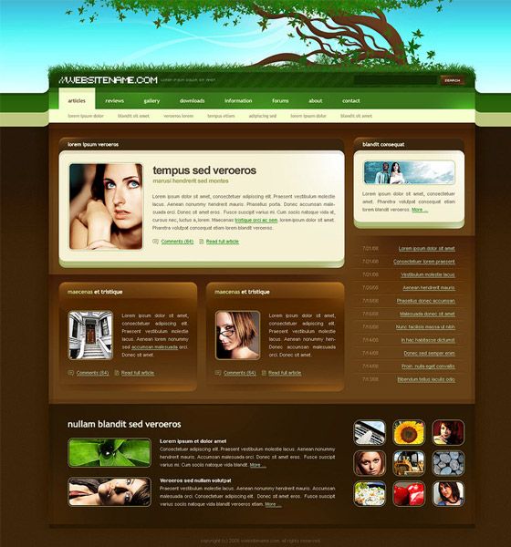 PSD Website Tempales