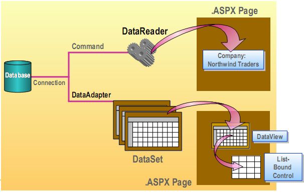 ADO.NET(一)