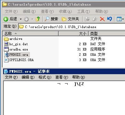 oracle 10G服务器端安装以及冷备份恢复