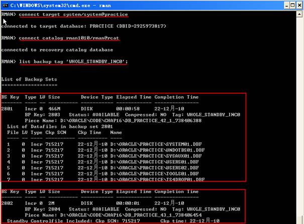 18.Oracle10g服务器管理恢复--RMAN备用数据库(练习31.32)