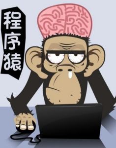 程序猿