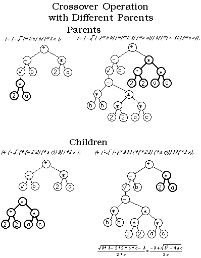 遗传算法—genetic algorithms