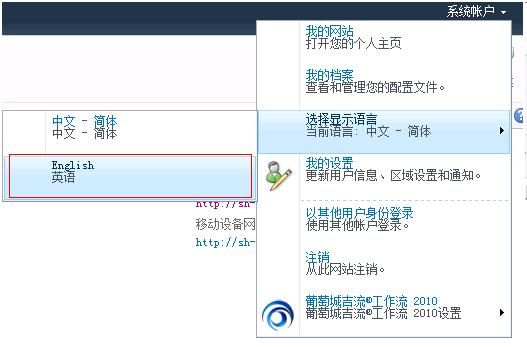 FlowMan®多语言工具 For SharePoint2010 的 技术实现