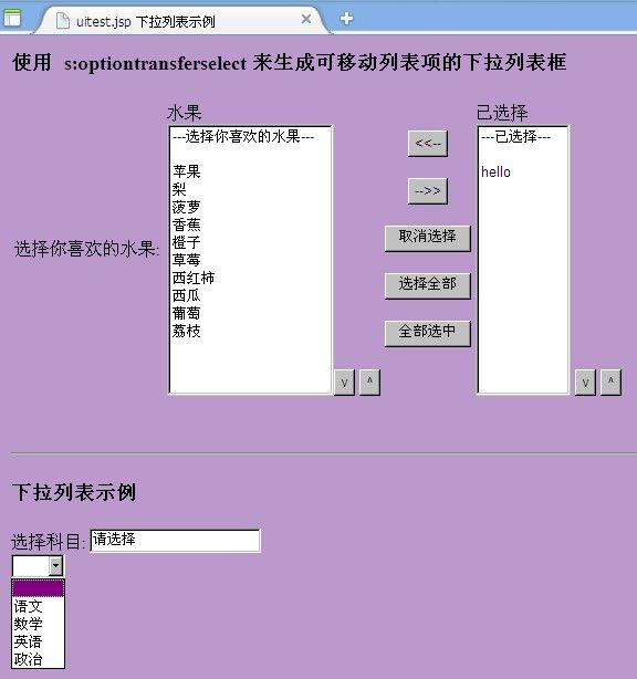 Struts2 标签库 UI标签的使用