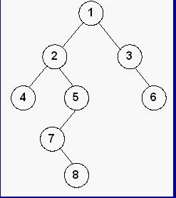你应该掌握的——树和二叉树