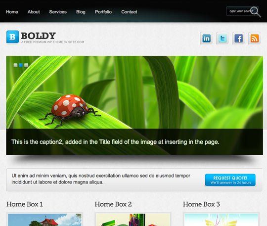 wordpress themes