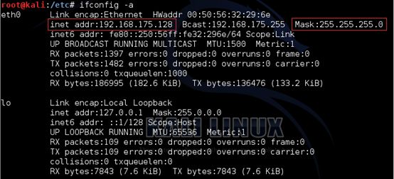 kali网络配置