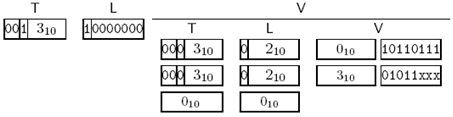 ASN.1探索 － 3 编码规则与传输语法（1 - BER）