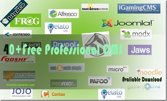 free-professional-CMS-1024x614