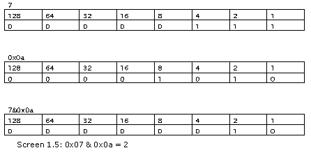 《Metadata Tables》第1章 The PE File Format