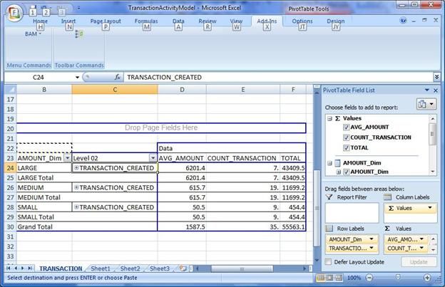 BAM-Excel View.jpg