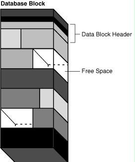 Oracle 数据块 Block 说明