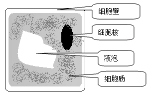 三维扫描 FZU 1063