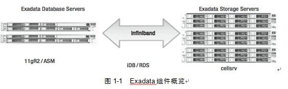 Exadata是什么？