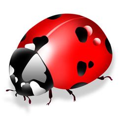 iPhone programming is like a ladybug - fun and only a little scary!